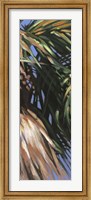 Wild Palm II Fine Art Print