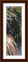 Wild Palm II Fine Art Print
