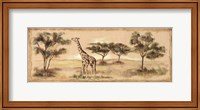 Safari Giraffe Fine Art Print