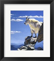 Rocky Mountain High Fine Art Print