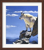 Rocky Mountain High Fine Art Print