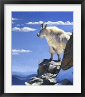 Rocky Mountain High Fine Art Print