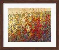 Field of Spring Flowers I Fine Art Print