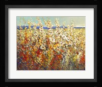 Field of Spring Flowers II Framed Print