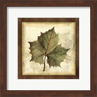 Rustic Leaves I - No Crackle Fine Art Print