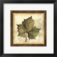 Rustic Leaves I - No Crackle Fine Art Print