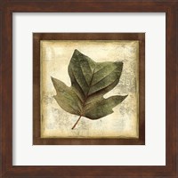 Rustic Leaves III - No Crackle Fine Art Print
