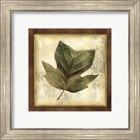 Rustic Leaves III - No Crackle Fine Art Print