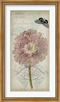 Cartouche & Floral II Fine Art Print