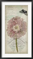 Cartouche & Floral II Fine Art Print