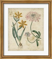 Botanical Repertoire I Fine Art Print