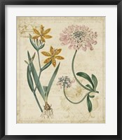 Botanical Repertoire I Fine Art Print