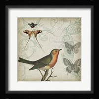 Cartouche & Wings I Framed Print