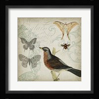 Cartouche & Wings II Framed Print