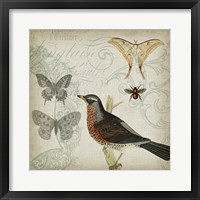 Cartouche & Wings II Fine Art Print