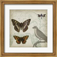 Cartouche & Wings III Fine Art Print