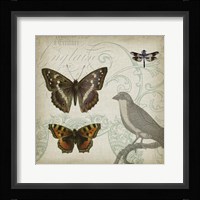 Cartouche & Wings III Framed Print