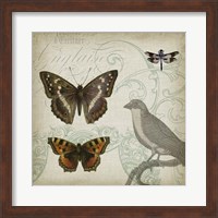 Cartouche & Wings III Fine Art Print