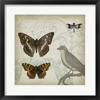Cartouche & Wings III Fine Art Print