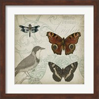 Cartouche & Wings IV Fine Art Print