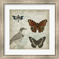 Cartouche & Wings IV Fine Art Print