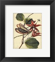 Petite Dragonflies III Fine Art Print