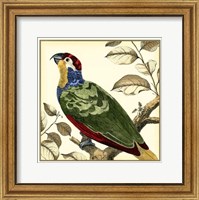 Tropical Parrot II Fine Art Print