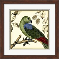 Tropical Parrot III Fine Art Print