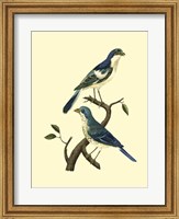 Vintage Bird Pair I Fine Art Print