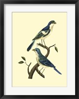 Vintage Bird Pair I Fine Art Print
