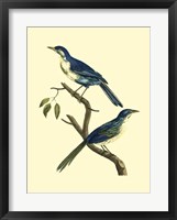 Vintage Bird Pair II Fine Art Print