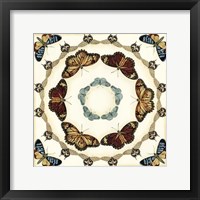 Butterfly Collector II Framed Print