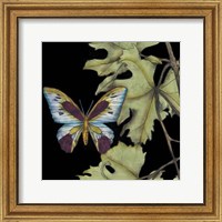 Butterfly on Vine I Fine Art Print