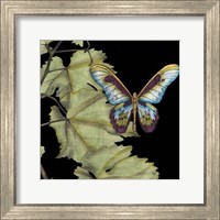 Butterfly on Vine II Fine Art Print
