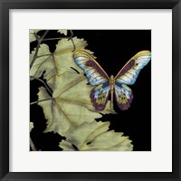 Butterfly on Vine II Fine Art Print