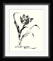 Studies in Ink - Tulip Fine Art Print