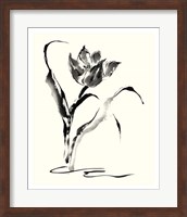 Studies in Ink - Tulip Fine Art Print