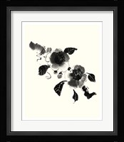 Studies in Ink - Camellia Fine Art Print