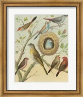 Birdwatcher's Delight I Fine Art Print