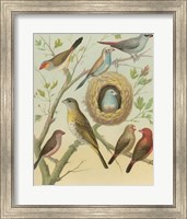 Birdwatcher's Delight I Fine Art Print