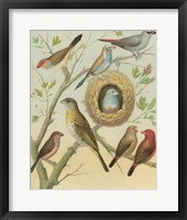 Birdwatcher's Delight I Fine Art Print
