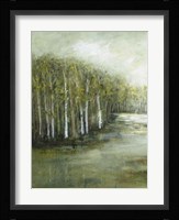 Tranquil Waters I Framed Print