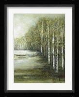 Tranquil Waters II Framed Print