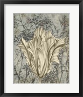 Tulip & Wildflowers V Fine Art Print