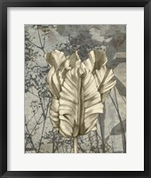 Tulip & Wildflowers VII Fine Art Print