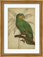 Parrot and Palm I Fine Art Print