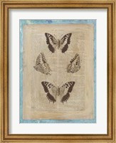 Bookplate Butterflies II Fine Art Print