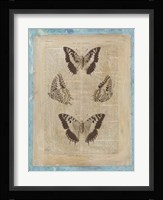 Bookplate Butterflies II Framed Print
