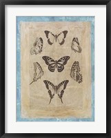 Bookplate Butterflies III Fine Art Print