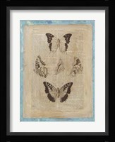 Bookplate Butterflies IV Framed Print